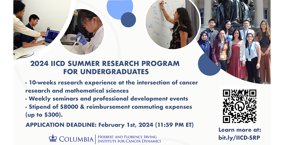 Flyer for 2024 IICD Summer Research Program for Undergraduates 