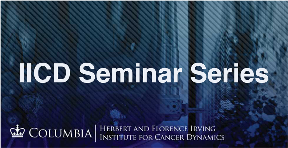 "IICD Seminar Series" written on a blue background with the IICD logo at the bottom