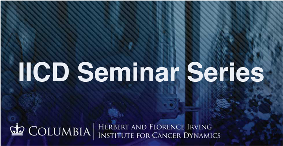 IICD Seminar Series 2022-2023 "IICD Seminar Series" written on a blue background with the IICD logo at the bottom