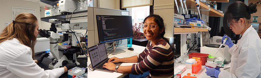 From left to right: Mackenzie Sky (Mentor: José L. McFaline-Figueroa), Sruthi Parthasarathi (Mentor: Andrew Blumberg), Theresa Luo (mentor: Karol Nowicki-Osuch) From left to right: a woman in a lab coat looks in a microscope, a woman is working on a laptop, a woman wearing a lab coat is pipetting.
