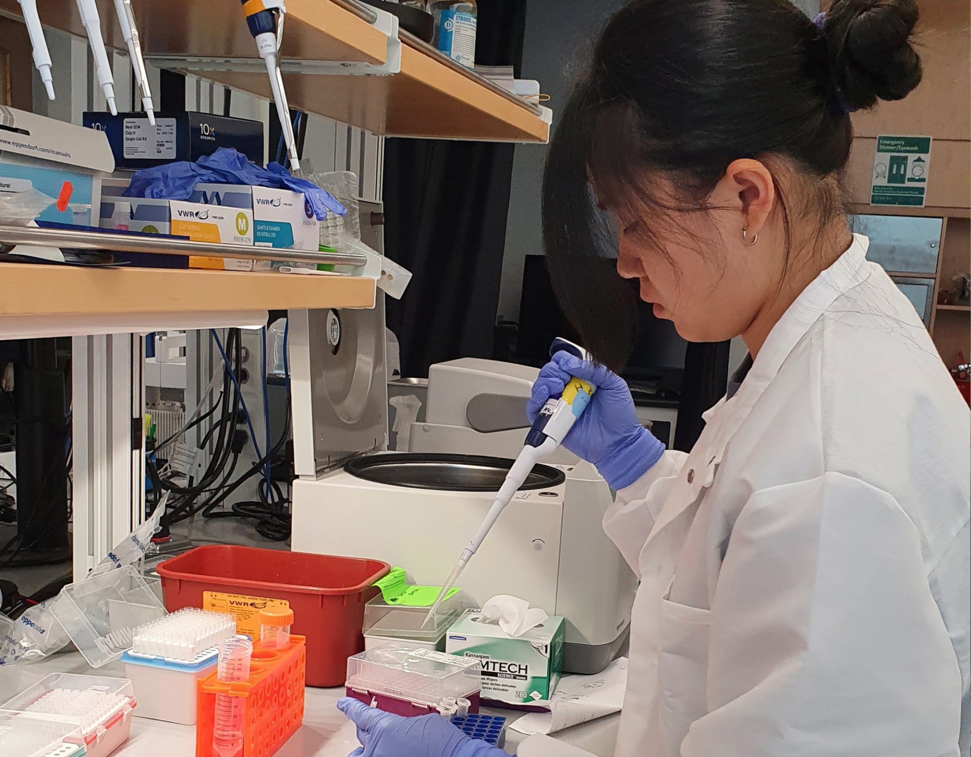 Woman in front of a lab bench pipetting